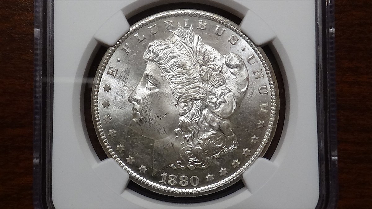 You-V.s.-NGC-1880-S-Morgan-Dollar